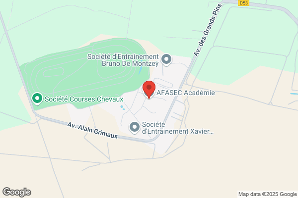 Afasec Assoc Formation Action Sociale Des Ecuries De courses