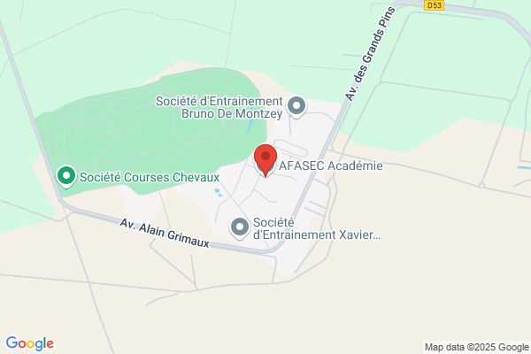 Afasec Assoc Formation Action Sociale Des Ecuries De courses S