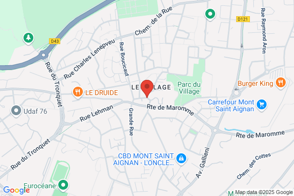 Accueil Villes Francaises Mont Saint Aignan Avf