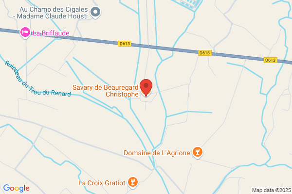 Beauregard De Savary Christophe
