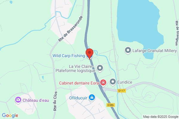 Wild Carp Fishing