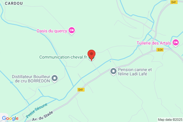 communication cheval