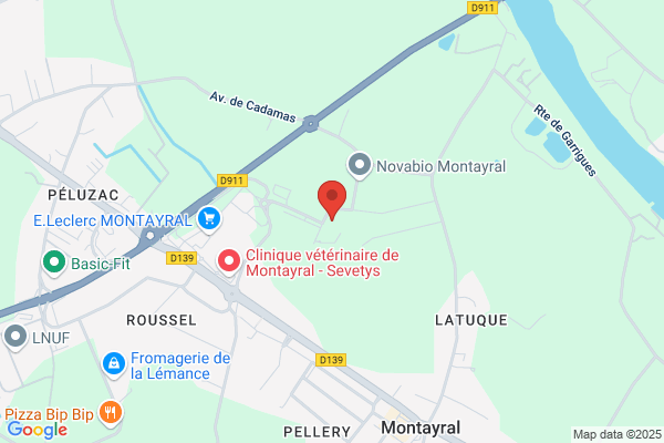 LOVELITERIE Montayral