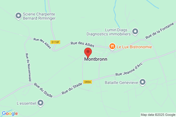 Bornet Dominique Medecin