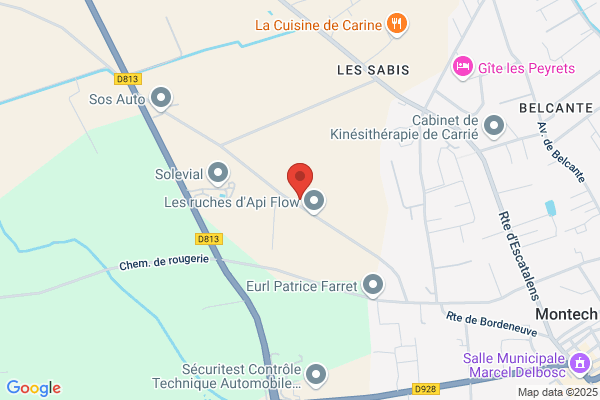 BF PAYSAGE SERVICES