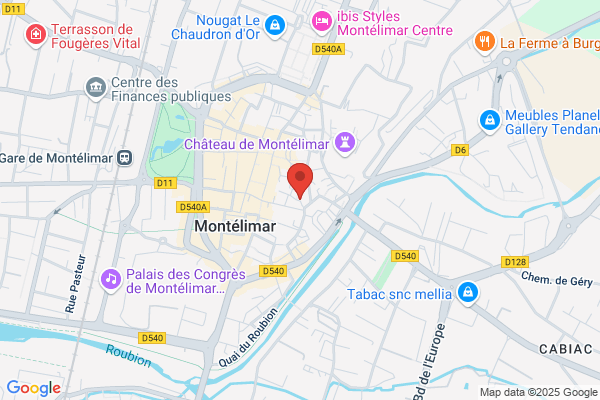 Enfance Majuscule Comite Alexis Danan Montelimar