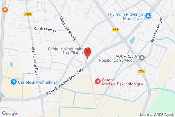 Atectam Et Partners