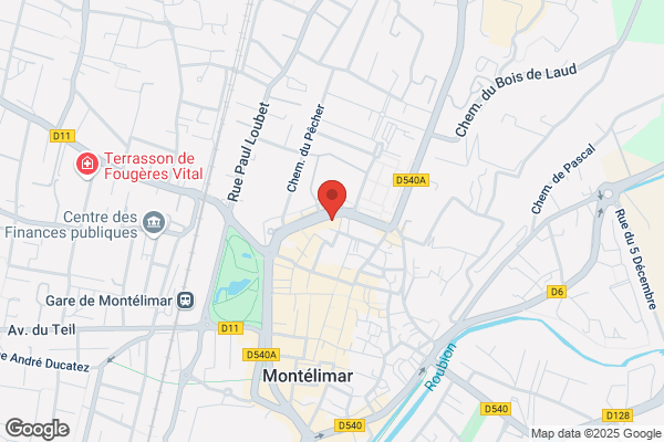 Hotel La Panthere Noire
