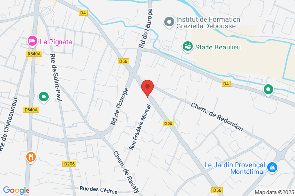 Crs Compagnie Republicaine De Securite