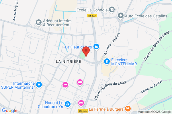 Anpe Agence Nationale Pour L Emploi Standard