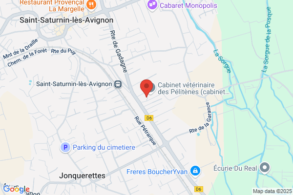 Cazenelle Stephane Veterinaire