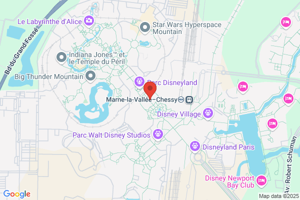 Disneyland Hotel