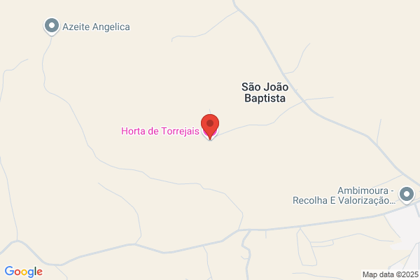 Horta Moura Manuel