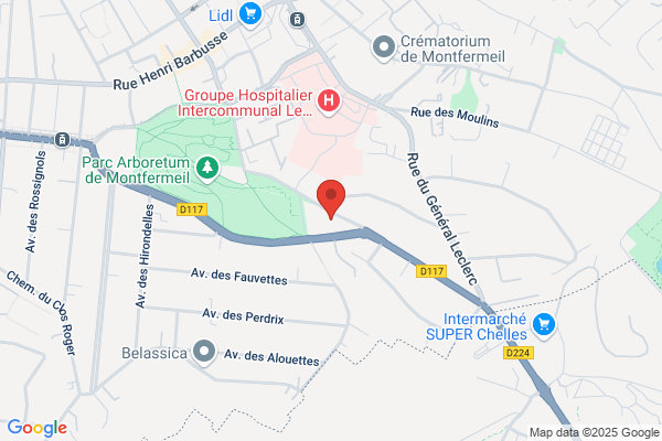 Brevetti M A France