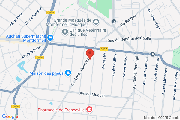 Garage Du Professionnel