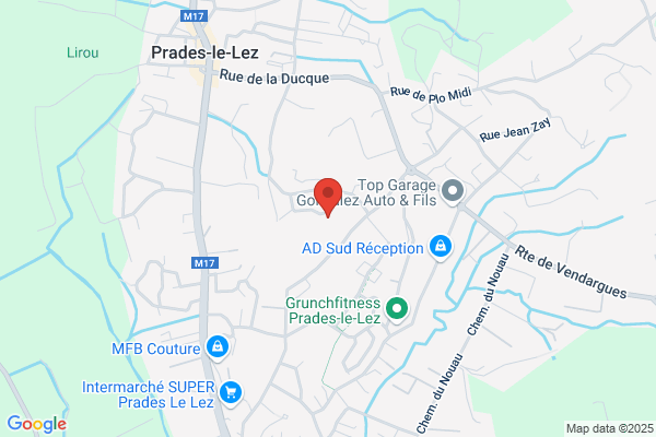 Cyathéa paysages