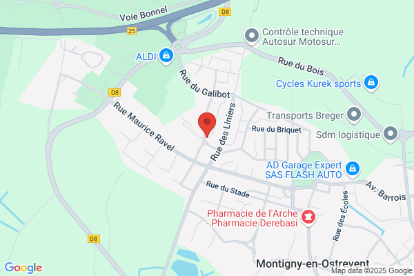 Cellule D Appui Du Rmi Ddass