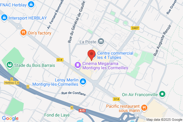 Histoire d'Or