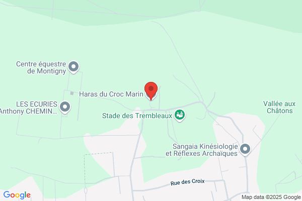 Haras Du Croc Marin