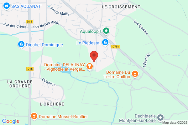 Anjou Decolletage