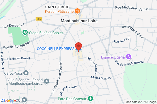 coccinelle express