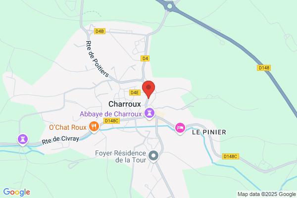 Chant Oiseaux