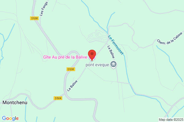 Billaud Pierre