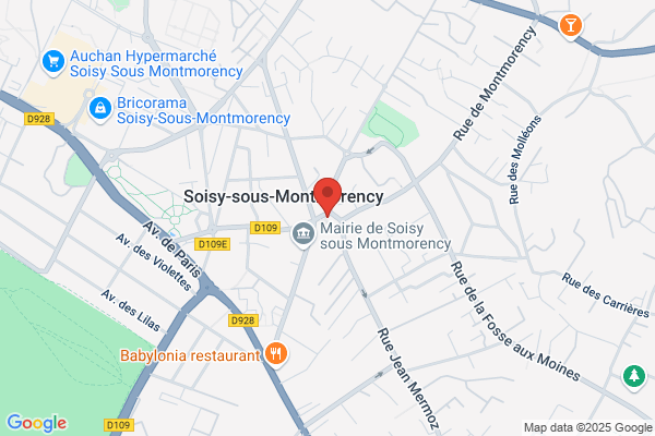 Association Des Artisans Taxi Allo Taxi Montlignon
