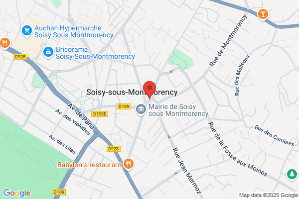 Insergueix Et Cie (Sa)