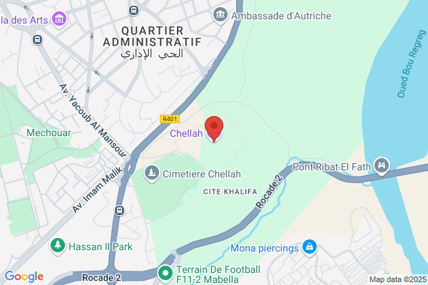 Chellah Hocine