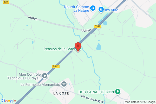 Cendrine FUNEL | Zoothérapie | Une main tendue