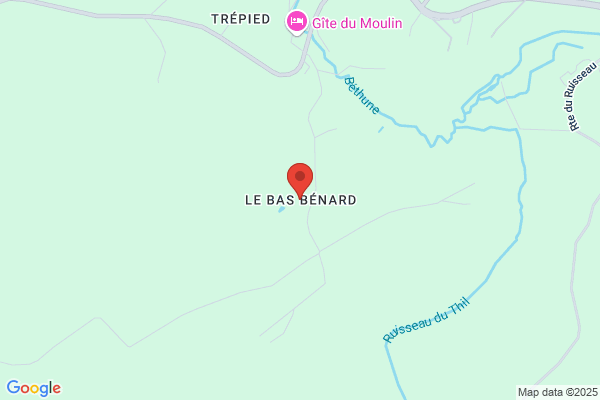 Bas Bernard