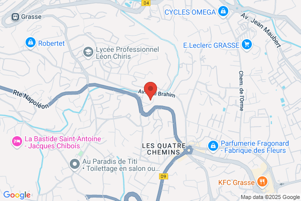 Best Western Plus Hotel Elixir Grasse