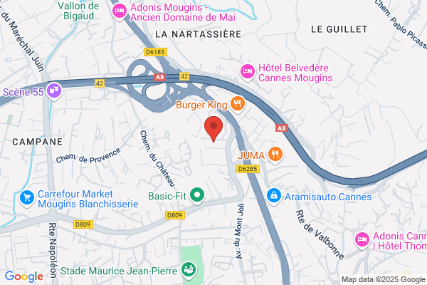Association Autisme France