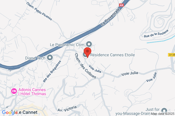 Debulois Jeannine