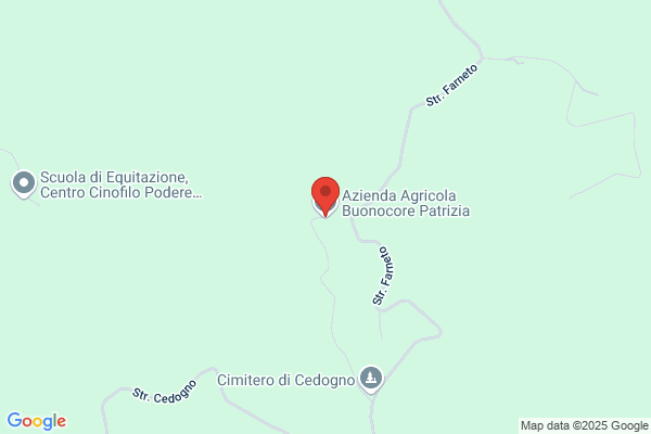 Buonocore Patricia