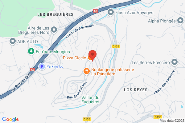 LES COCOTTES