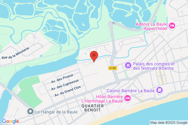 Baule