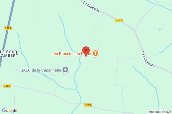 Géraldine Lefèvre Neuro-Praticienne du DT et Éveilleure de Conscience