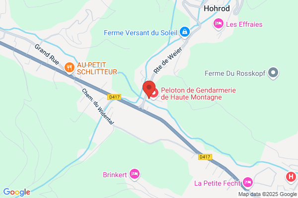 Au Tour De Mon Arbre