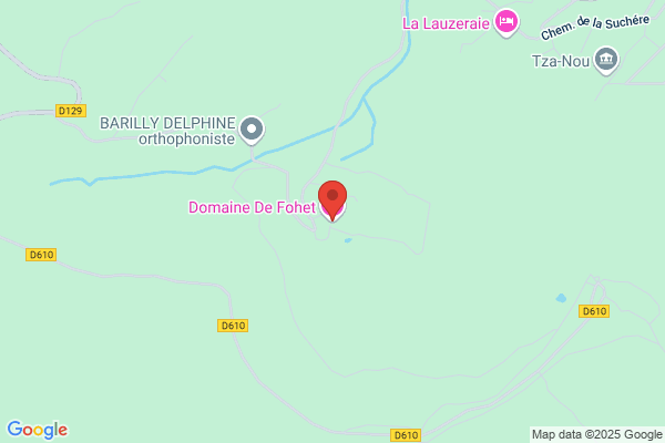 Domaine De Fohet