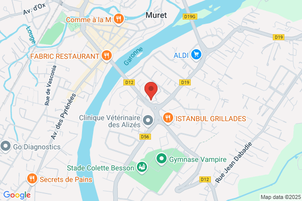 Samsic Emploi Muret