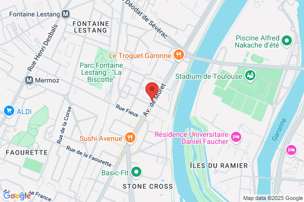marabout voyant toulouse professeur guillaume