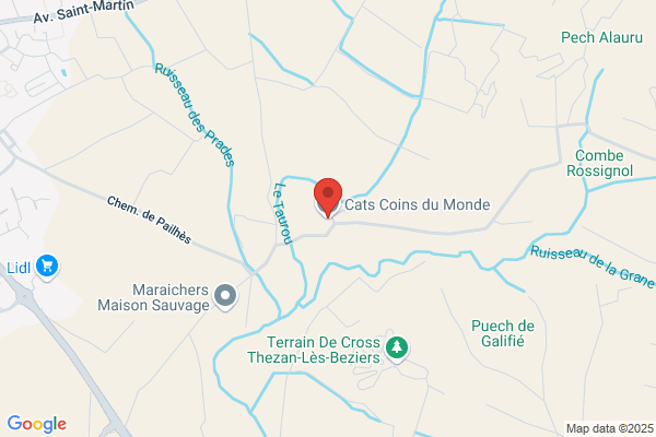 Cats Coins du monde