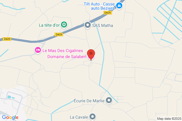 Domaine De Salabrun