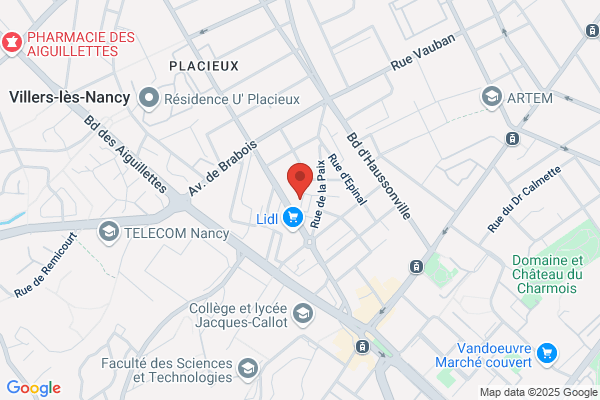 Commission Locale D Insertion Et De Lutte contre L Exclusion c