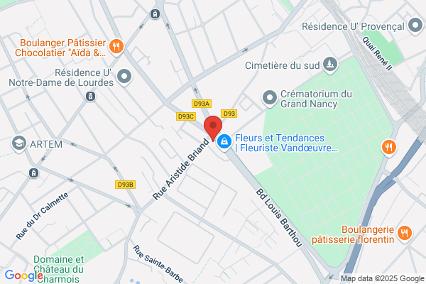 MAAF Assurances NANCY VANDOEUVRE