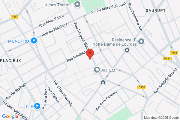 Icn Institut Commercial De Nancy Formation Continue