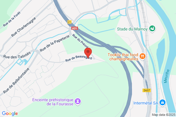 Aux Joies De La Video