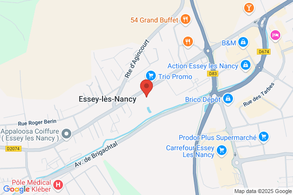 Elephant Bleu Triv Al Nancy Franchise Ind
